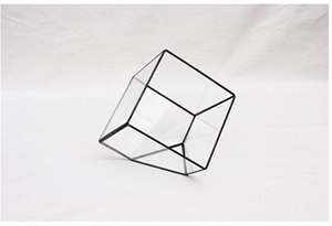 Geometric Glass Plant