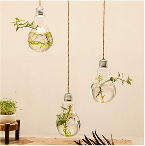 Hanging Terrarium Flower